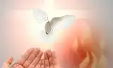 Giáo Huấn Của Thánh Giáo Hoàng Gioan Phaolô II Về Đời Thánh Hiến – ẢNH HƯỞNG CỦA CHÚA THÁNH THẦN  TRONG ĐỜI SỐNG THÁNH HIẾN