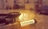 Làm chết êm dịu (Euthanasia) và kinh nghiệm về cái chết trong bệnh viện