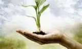 “Natura” trong lịch sử triết học và thần học