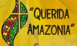 Querida Amazonia – Amazon yêu quý