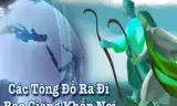 Công cuộc loan báo Tin mừng và chế độ thực dân