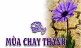 Ăn Chay Hay Ăn Chơi?