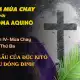 Suy niệm Mùa Chay với Thánh Tôma Aquinô - Tuần IV - Thứ B