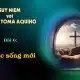 Suy niệm với Thánh Tôma Aquinô - Mùa Phục Sinh - Bài 6