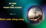 Suy niệm với Thánh Tôma Aquinô - Mùa Phục Sinh - Bài 14