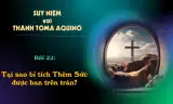 Suy niệm với Thánh Tôma Aquinô - Mùa Phục Sinh - Bài 22