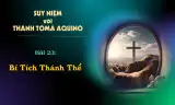 Suy niệm với Thánh Tôma Aquinô - Mùa Phục Sinh - Bài 23