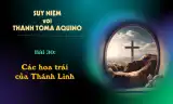 Suy niệm với Thánh Tôma Aquinô - Mùa Phục Sinh - Bài 30