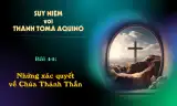 Suy niệm với Thánh Tôma Aquinô - Mùa Phục Sinh - Bài 44