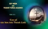 Suy niệm với Thánh Tôma Aquinô - Mùa Phục Sinh - Bài 31
