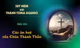 Suy niệm với Thánh Tôma Aquinô - Mùa Phục Sinh - Bài 26