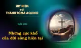 Suy niệm với Thánh Tôma Aquinô - Mùa Phục Sinh - Bài 20