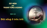 Suy niệm với Thánh Tôma Aquinô - Mùa Phục Sinh - Bài 42