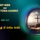 Suy niệm với Thánh Tôma Aquinô - Mùa Phục Sinh - Bài 42