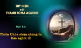 Suy niệm với Thánh Tôma Aquinô - Mùa Phục Sinh - Bài 15