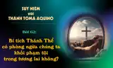 Suy niệm với Thánh Tôma Aquinô - Mùa Phục Sinh - Bài 62