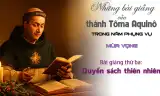 Những bài giảng của Thánh Tôma Aquinô trong năm phụng vụ - Mùa Vọng - Bài 3